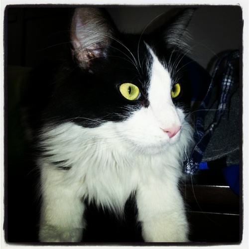 JDZelman's profile picture. 