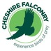Falconry Team (@cheshfalconry) Twitter profile photo