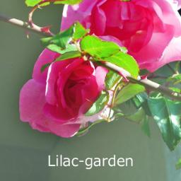 sachiko999's profile picture. 