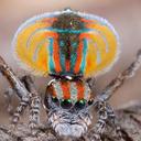 Dennis Mock - @MockDennis - Twitter