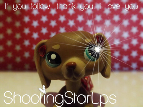 ShootingStarLps's profile picture. A girl with a camera.. And a best friend who has 800 subscribers XD follow me pweesies? ♥ other account: @likeOMGNiall ♥♬