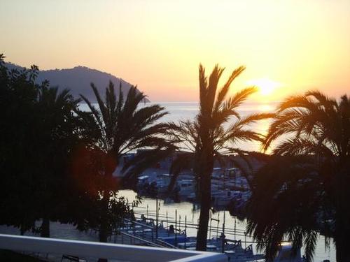 Dougie1908's profile picture. 