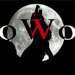 ShadoWolf Films is a CT based Independent Film company dedicated to breaking the mold of conventional films and blurring the line between good and evil.