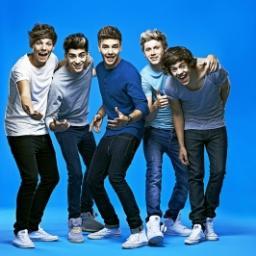 Directionerlândia