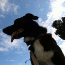 Nick Pullano - @npullano12 - Twitter