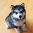 Karen Blaser - @premieraptjob - Twitter