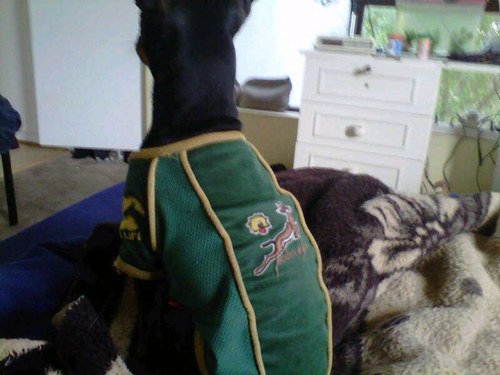 WarwickH01's profile picture. 