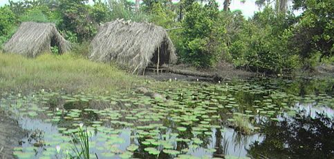 TranslateYoruba's profile picture. Use #EnglishToYoruba, #YorubaToEnglish - we find the best #t8ns for babynames, proverbs etc. See https://t.co/CoaQa1nbCb for professional t8n services. JkxvXF