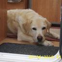 john scaife - @jhscaife - Twitter