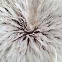 Jamie Lerner - @swapnshopevent - Twitter