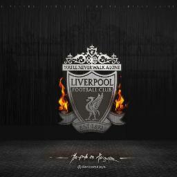 Liverpool FC Fans