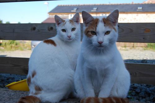 TheBruvs's profile picture. We are lager drinkin, fun lovin out-spoken Bruvs, if ya offend easy-don't follow us!