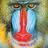 Stuyvesant_Fish's profile image