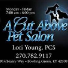 ACutAbovePetSpa's profile picture. Master Pet Stylist at A Cut Above Pet Salon, 1993 graduate of The Nash Academy of Animal Arts, Lexington, KY, and member of IPG.