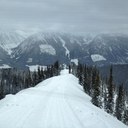 Tracey Franks - @Tracey_Franks - Twitter