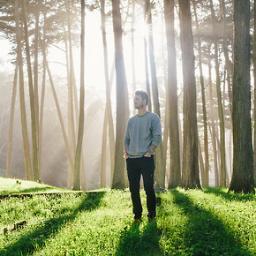 Creer saber, pensar poder.Admitir que somos cómplices de nuestra propia perdición//Haz lo posible por cambiar el curso de las cosas, nunca te dejes vencer.