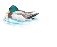 MBPCCA's profile picture. We are a group made up of incredible people, that when we put our minds to it can get anything done!!!