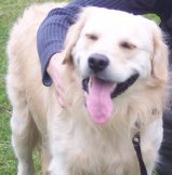 PhatsDog's profile picture. @craigmarch is my human. I enjoy walking him, giving him looks to make him feed me. I especially like showering him with whatever I can shake off my coat :-)