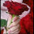 ameerh696's profile image