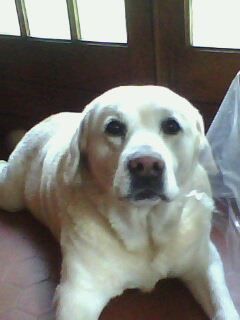 Renaud_drums's profile picture. 