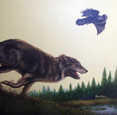 k9andcraneboy's profile picture. Youtube: http://t.co/15cQLfF6Kg
Facebook: