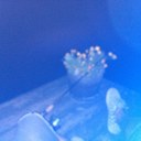 Malcolm Andrew - @Tuckkneeson23 - Twitter