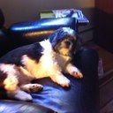 Dorothy Wheeler - @DottyM731 - Twitter