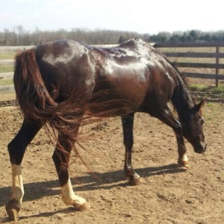 JennyKrabacher's profile picture. 