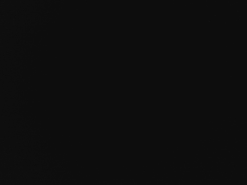 TheTiranicus's profile picture. Cool