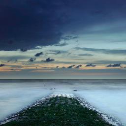 sacharouge's profile picture. 