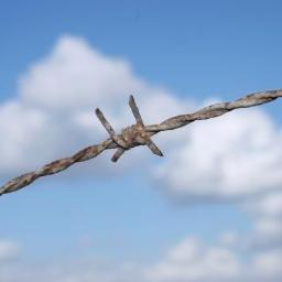 NedimSejdinovic's profile picture. Bilo je i boljih dana, o noćima da ne govorim