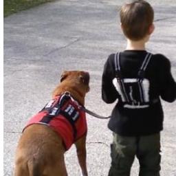 Non-profit organization 4 ppl who luv special needs kids #supportgroup #autism  #specialeducation #parenting #faith #community #mito, #ADD #childhoodcancer