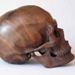 lloydmelon2's profile picture. When someone is laughing and it's heard across the room, eventually others will join. Best way to created a room full of happiness!