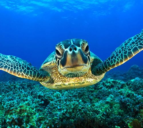 steffigannon's profile picture. 