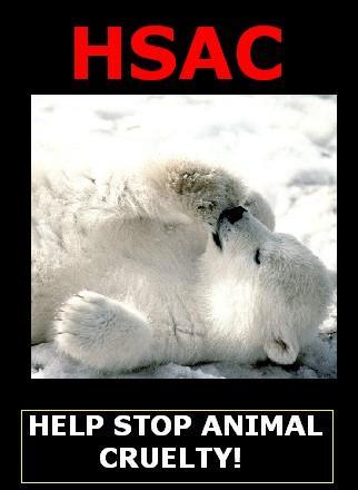 Help Stop Animal Cruelty