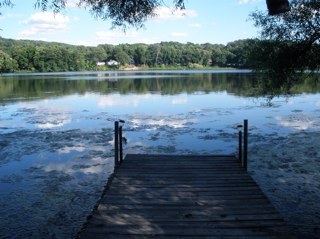 missyk1206's profile picture. 