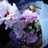 Ez_eung's profile image