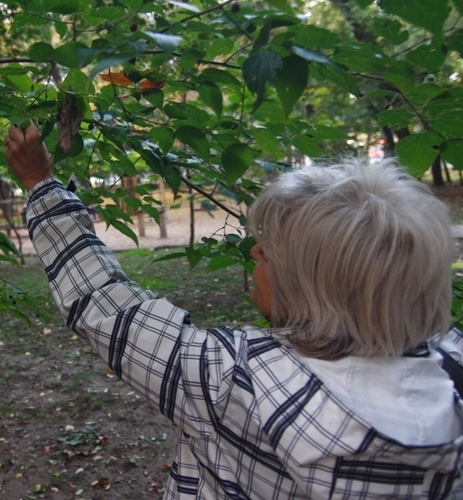 Consiliere terapii naturiste, bio-energo-terapie, numerologie