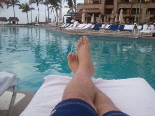 falco431's profile picture. 