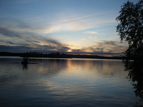 TrevorKraushaar's profile picture. 