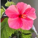 Barbara Fontaine - @triplets108 - Twitter