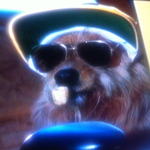 thegrimeraper's profile picture. hahahhaha