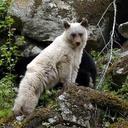 Lisa Grassette - @Poco425 - Twitter