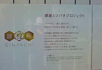 銀パチベアーです。