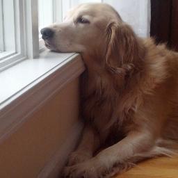 mjslater16's profile picture. 