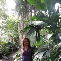 Angeles Canos (@angelescanos) 's Twitter Profile