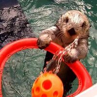 mjc (@gowanus) 's Twitter Profile