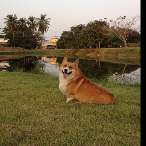 ungkaron's profile picture. 