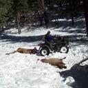 Wesley Whitney - @WesleyWhitney1 - Twitter