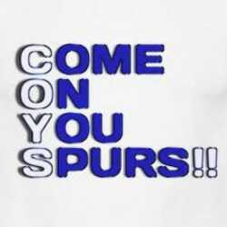 a massive tottenham hotspurs fan. Darts Boxing F1. #COYS follow me and if your spurs i will follow back.